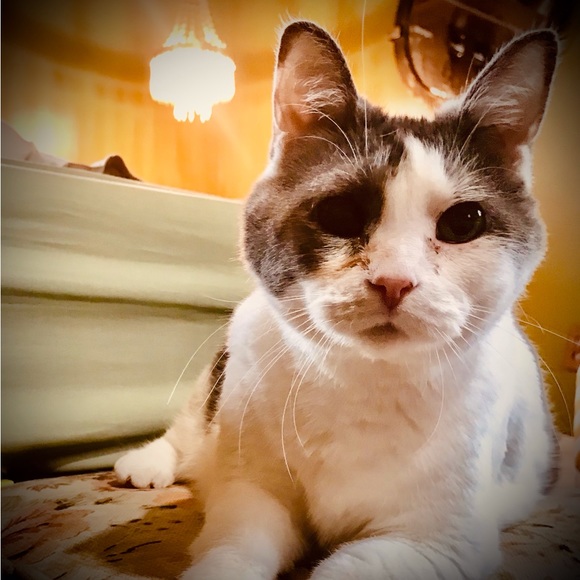 Meet your Posher, Megan - Picture 7 of 16